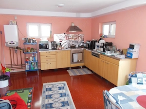 Casa mobilata sau afacere, Sanandrei, P+M+garaj mare 1670mp teren - imagine 10