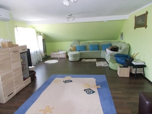 Casa mobilata sau afacere, Sanandrei, P+M+garaj mare 1670mp teren - imagine 14