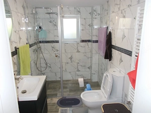 Casa mobilata sau afacere, Sanandrei, P+M+garaj mare 1670mp teren - imagine 5