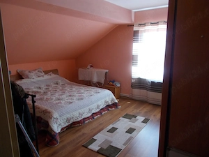 Casa mobilata sau afacere, Sanandrei, P+M+garaj mare 1670mp teren - imagine 16
