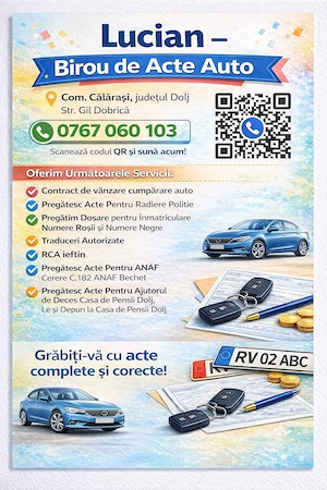 Birou de Acte Auto 