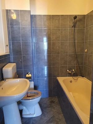 Închiriere apartament 2 camere - imagine 3