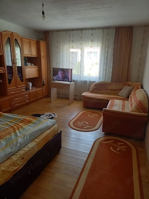 Vând casă Ioaniș jud. Bihor com. Finiș - imagine 4