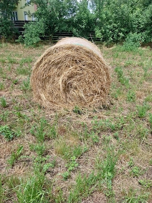 baloți fân 2026