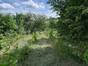 Vanzare teren 1.100mp intrare in Chicerea, Iasi