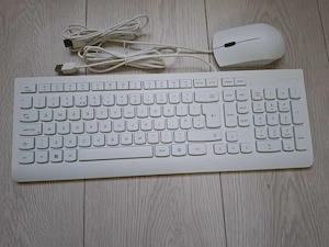 Tastaturi si mouse-uri  