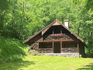 Vand casa pe transalpina in sugag