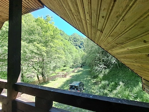 Vand casa pe transalpina in sugag - imagine 6