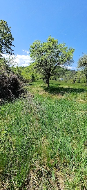 De vanzare Teren intravilan in loc.Vale 