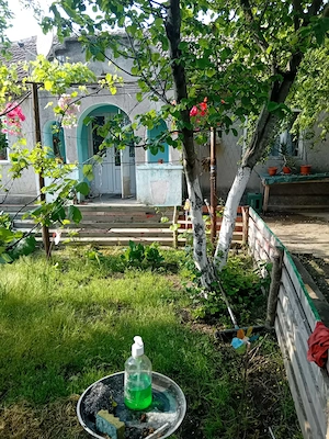 Casa de vânzare Mereni Constanța  - imagine 3