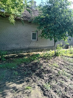 Casa de vânzare Mereni Constanța  - imagine 5