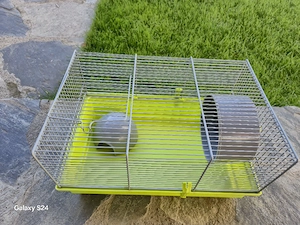 Cusca hamster - imagine 2