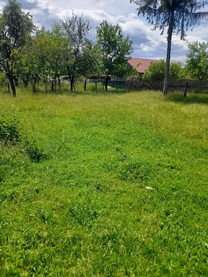 Casa Stâlpeni 1958 , curte 940mp - imagine 5