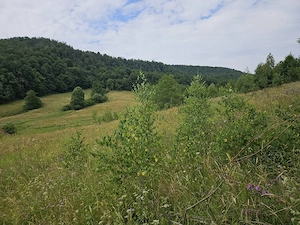 teren intravilan