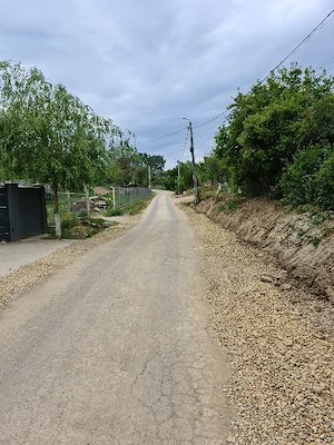  30 de ari intravilan cu livada de pruni Viile Satu Mare