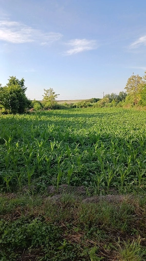 Teren de vânzare