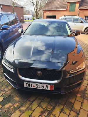 Jaguar xe 2016