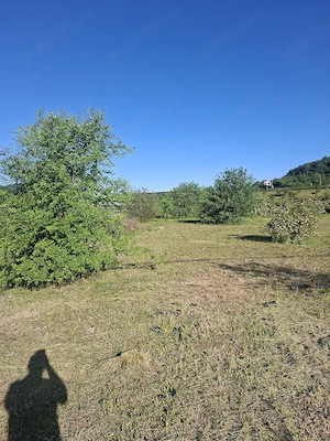 Curatit tufise si gradinii