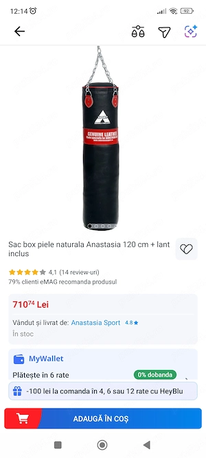 Sac de box+suport(pachet) 