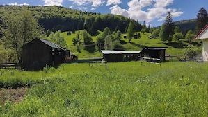 Vand casa proprietate - imagine 8