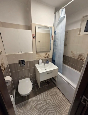Apartament 3 Camere - Deva  - imagine 8