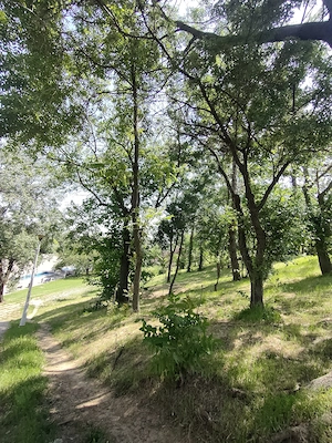 Sezonier zilier caut de muncă cu  plata la zi 