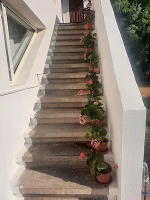Casă de vânzare 
