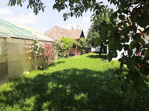 Casă + 1,1 ha intravilan, front stradal 15 m   Reghin - imagine 10