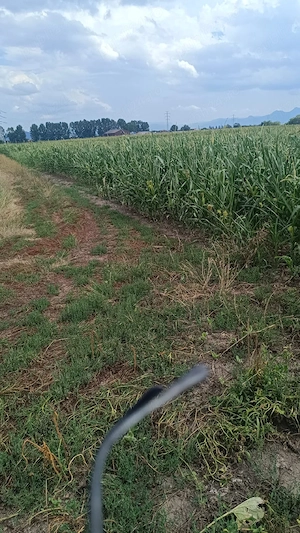 Ferma Agricol 