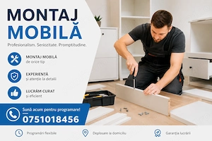 Servicii montaj mobila