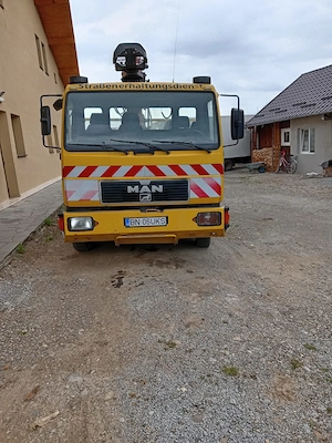Man transport lemn - imagine 5