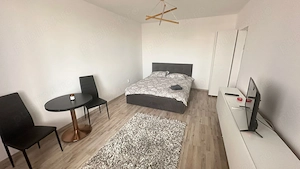 Lena Studio - Apartment cu 1 camera regim hotelier