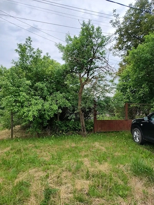 Vând teren pentru casa in Păsăreni  - imagine 2