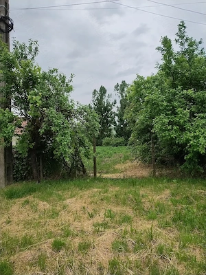 Vând teren pentru casa in Păsăreni 