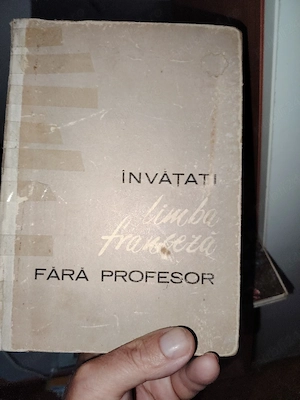 Limba franceza fara profesor