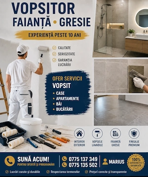 Meseriaș gresie, faianta, vopsit!