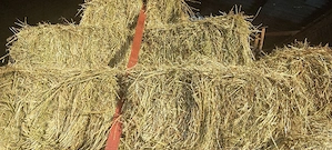 Vând baloți lucernă