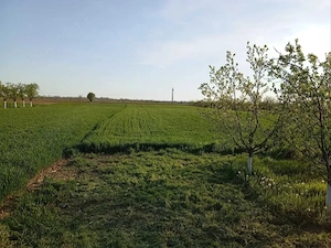 Casa de vanzare cu teren in Leordeni -Moara Mocanului- Arges - imagine 4