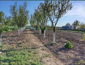 Casa de vanzare cu teren in Leordeni -Moara Mocanului- Arges - imagine 3