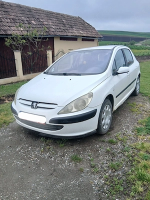 Dezmembrez Peugeot 307