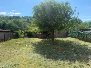 Casa  deosebita 280 mp utili, 2000 mp teren, zona Podari (schimb cu apartament ) - imagine 3