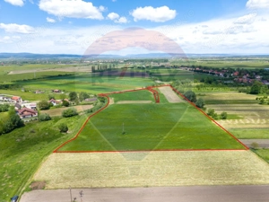 Teren 25.100 mp cu potențial major de dezvoltare în Prejmer - imagine 3