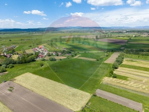 Teren 25.100 mp cu potențial major de dezvoltare în Prejmer - imagine 8