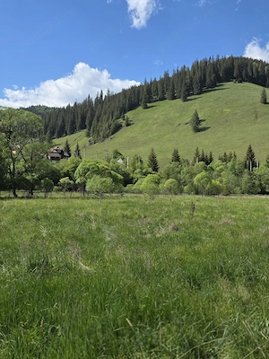 Teren 5950 mp Valea Putnei, jud Suceava  - imagine 2