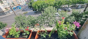 Vand Apartament Ultracentral - imagine 9