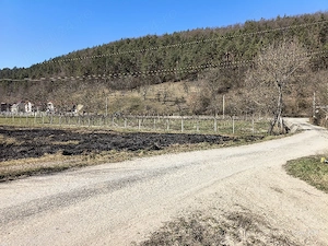 Teren intravilan Buciumi, 450e ar neg - imagine 3