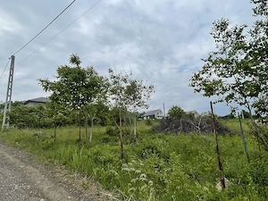 Persoana fizică vând teren intravilan 529mp, în Șorogari (Aroneanu)