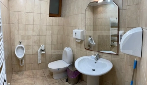 Cabana cu 5 dormitoare, 250 mpu, 700 teren la Ranca - imagine 7