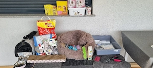 Set accesorii si hrana pisici