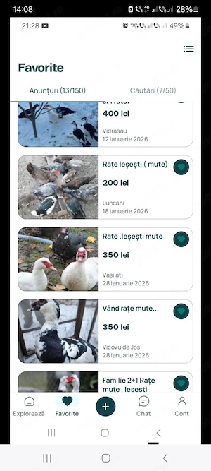 vănd urgent  rațe mute lăsesti  - imagine 6